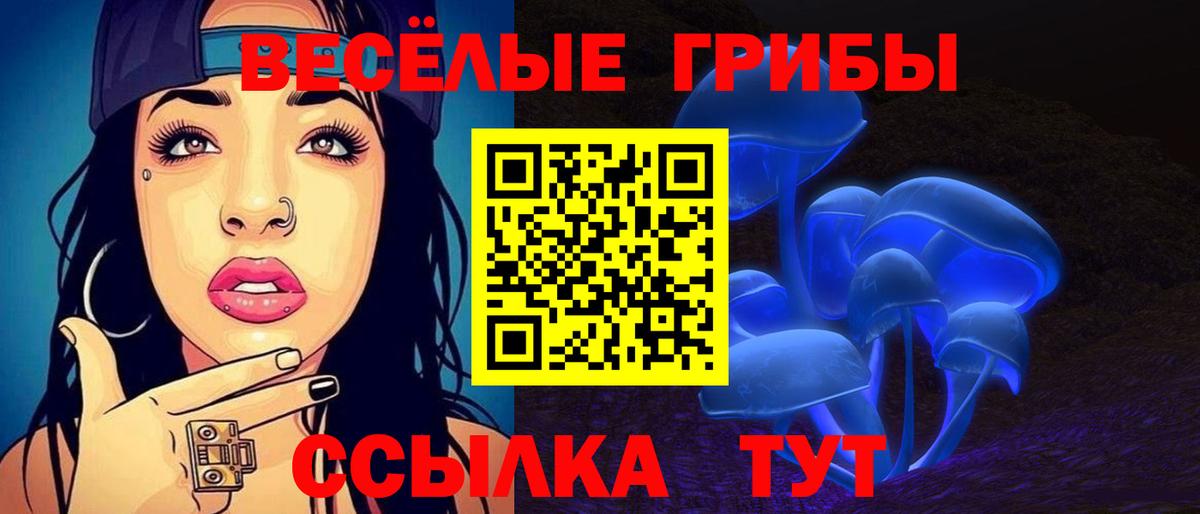 Псилоцибиновые грибы мицелий Нижнеудинск