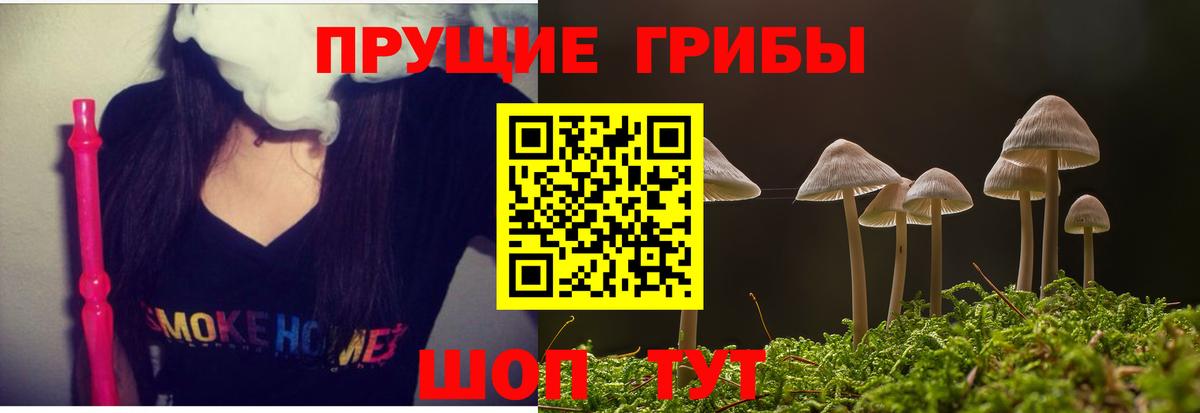 Псилоцибиновые грибы мухоморы  Галлюциногенные грибы Psilocybine cubensis  Вход с VPN  хочу наркоту  Нижнеудинск 